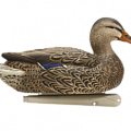 Картинка Чучела уток от интернет-магазина ХантингАрт Чучела уток от интернет-магазина ХантингАрт