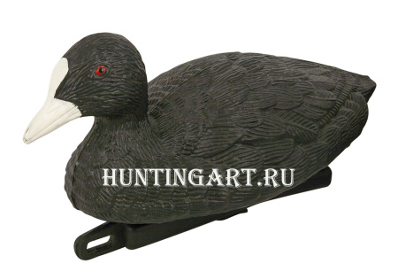 Чучело утки-лысухи плавающей, Birdland купить в магазине Хантингарт