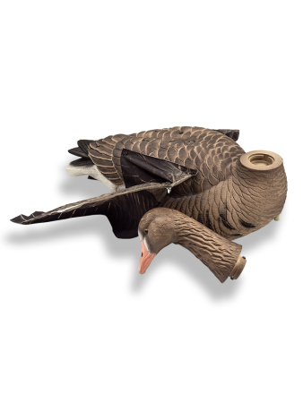 Белолобый гусь махокрыл, съемная голова купить в интернет-магазине ХантингАрт