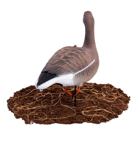 Сминаемое чучело North Way Sofplast 3D Гуменник гусь, 10 чучел (6-кормящихся, 2-отдыхающих, 2-сторожевых) купить в интернет-магазине ХантингАрт