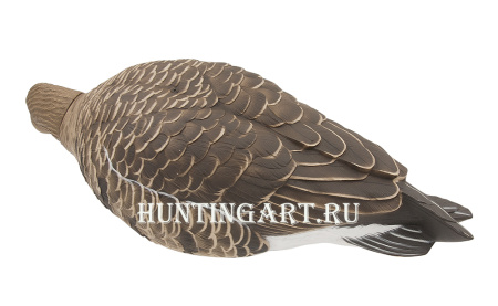 Комплект Avian-X из 6 полноразмерных чучел белолобого гуся с сумкой купить в интернет-магазине ХантингАрт