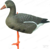 Чучела Sport Plast белолобый гусь, 6 шт купить в интернет-магазине ХантингАрт