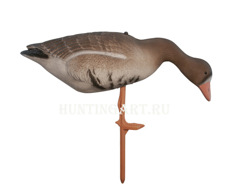 Комплект Birdland из 6 шт складных Белолобых чучел на опоре-стойке купить в интернет-магазине ХантингАрт