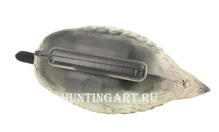 Чучело чирок плавающий, утка Birdland купить в магазине Хантингарт