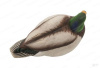 Комплект Avian-X Late Season Topflight Mallards из 6 (4 селезня/ 2 утки) полноразмерных чучел кряквы купить в магазине Хантингарт