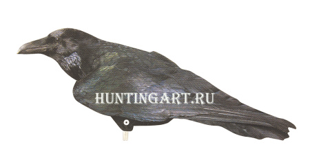 Профиль ворона купить в интернет-магазине ХантингАрт