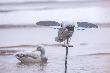 Чучела утки и селезня с вращающимися крыльями Lucky Duck Lucky Pair II купить в интерент-магазине Хантингарт