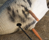 Комплект Art Specked Belly Goose из 10 сминаемых чучел Белолобого гуся (8 кормящихся + 2 сторожевых) купить в интернет-магазине ХантингАрт