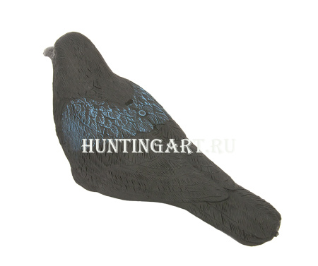 Чучело ворона купить в интернет-магазине ХантингАрт