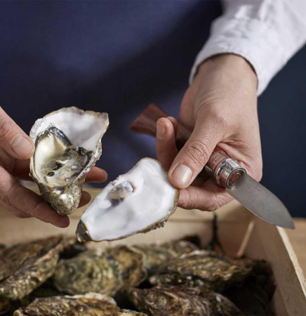 Нож для устриц Opinel серии Specialists for Foodies №09, клинок 6,5 см купить в интернет-магазине ХантингАрт