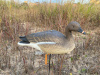 Гуменник гусь Elite 3D Greylag Goose, комплект 10 шт (8+2) мягкий пластик купить в интернет-магазине ХантингАрт