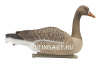 Плавающие чучела Белолобого гуся Floater Speckbelly Goose Oscar Decoys (мягкий пластик), 6 шт в трех позах купить в интернет-магазине ХантингАрт