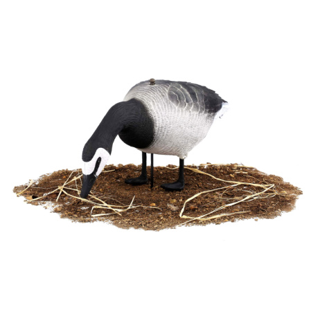 Комплект из 10 сминаемых чучел Белощекой казарки Softplast 3D North Way (8 кормящихся+2 сторожевых) купить в интернет-магазине ХантингАрт