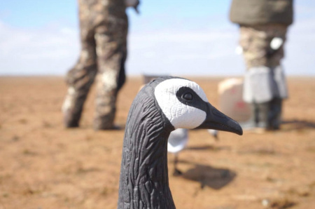 Комплект из 10 сминаемых чучел Белощекой казарки Softplast 3D North Way (8 кормящихся+2 сторожевых) купить в интернет-магазине ХантингАрт