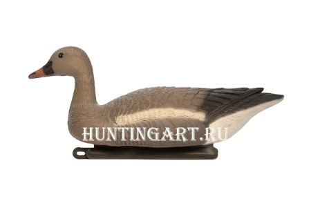 Чучело плавающего гуся Гуменника, Birdland купить в интернет-магазине ХантингАрт
