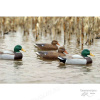 Подсадная утка кряква Flambeau Stormfront™ Classic Mallard комплект 6 шт (3 утки/3 селезня) купить в магазине Хантингарт
