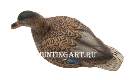 Комплект Avian-X Early Season Topflight Mallards (ранний сезон) из 6 чучел кряквы (4 селезня/2 утки) купить в магазине Хантингарт