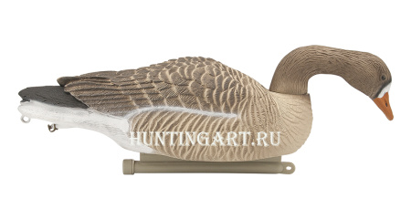 Плавающие чучела Белолобого гуся Floater Speckbelly Goose Oscar Decoys (мягкий пластик), 6 шт в трех позах купить в интернет-магазине ХантингАрт