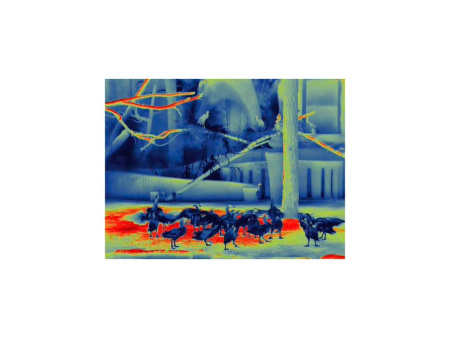 Тепловизионный бинокуляр Guide TN430 купить в интернет-магазине ХантингАрт