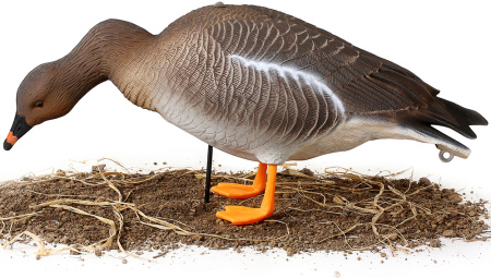 Комплект из 6 чучел гуся гуменника North Way Softplast Альфа (3 кормящихся,1 сторож,2 отдыхающих) купить в интернет-магазине ХантингАрт