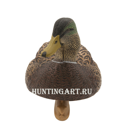 Комплект Avian-X Early Season Topflight Mallards (ранний сезон) из 6 чучел кряквы (4 селезня/2 утки) купить в магазине Хантингарт