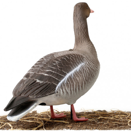 Чучела Серого гуся North Way Softplast Альфа, 6 штук (3 кормящихся,1 сторож,2 отдыхающих) купить в интернет-магазине ХантингАрт