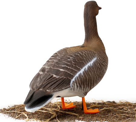 Комплект из 6 чучел гуся гуменника North Way Softplast Альфа (3 кормящихся,1 сторож,2 отдыхающих) купить в интернет-магазине ХантингАрт