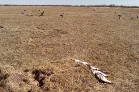 Засидка (скрадок) лежачая на гуся Шилка North Way T101 купить в инетрнет-магазине ХантингАрт