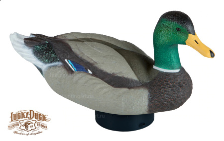 Плавающее чучело кряквы Lucky Duck с вибратором (селезень) купить в интерент-магазине Хантингарт