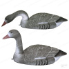 Комплект из 6 чучел Sport Plast (поле-вода) Белолобого гуся купить в интернет-магазине ХантингАрт