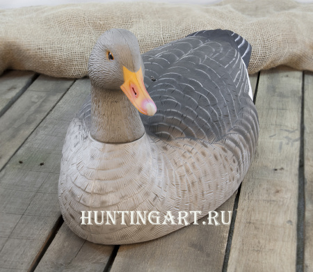Картинка Комплект из 12 полукорпусных муляжей Серого гуся GreenHead от интернет-магазина ХантингАрт Комплект из 12 полукорпусных муляжей Серого гуся GreenHead купить в интернет-магазине ХантингАрт