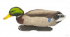 Комплект GHG Pro Grade XD из 12 шт муляжей Кряквы серии Mallards купить в магазине Хантингарт