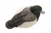 Комплект Avian-X Topflight Blue Bill из 6 полноразмерных чучел Морской чернети купить в магазине Хантингарт