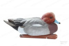 Комплект Avian-X Topflight Eurasian Wigeon из 6 полноразмерных чучел Свиязи купить в магазине Хантингарт