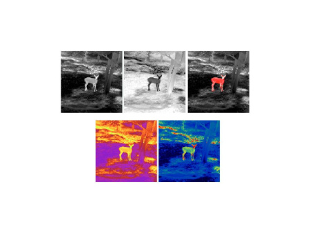 Тепловизионный монокуляр TD420 купить в интернет-магазине ХантингАрт