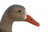 Комплект Art Specked Belly Goose из 10 сминаемых чучел Белолобого гуся (8 кормящихся + 2 сторожевых) купить в интернет-магазине ХантингАрт