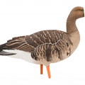 Картинка Чучела гусей от интернет-магазина ХантингАрт Чучела гусей купить в интернет-магазине ХантингАрт