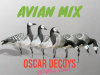 Казарка гусь Avian-Mix Elite 3D, комплект 6шт купить в интернет-магазине ХантингАрт