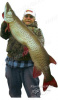 Картинка Спиннербейт Northland Bionic Bucktail® Spinnerbait - BBSB 28 гр (1 oz.) от интернет-магазина ХантингАрт Спиннербейт Northland Bionic Bucktail® Spinnerbait - BBSB 28 гр (1 oz.) купить в интернет-магазине ХантингАрт