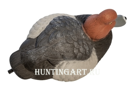 Чучела уток Красноголовый нырок Masters Series, 6шт купить в магазине Хантингарт