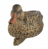 Комплект из 12 плавающих муляжей кряквы Avery GreenHead Gear Pro-Grade XD Series Mallards-Harvester (6 селезней и 6 уток) купить в магазине Хантингарт