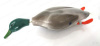 Муляж птицы для натаски, СЕЛЕЗЕНЬ КРЯКВЫ/ШИЛОХВОСТЬ купить в интернет-магазине Хантингарт