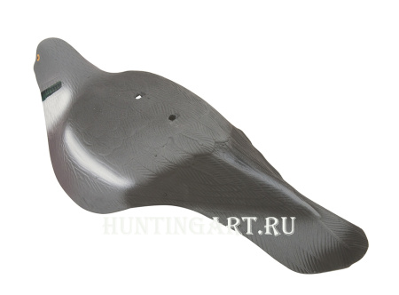 Чучела (скорлупки) лесного голубя купить в интернет-магазине ХантингАрт