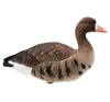 Чучела Белолобого гуся полностью флокирвоанные, 6 шт (4 кормящихся, 2 активных) купить в интернет-магазине ХантингАрт
