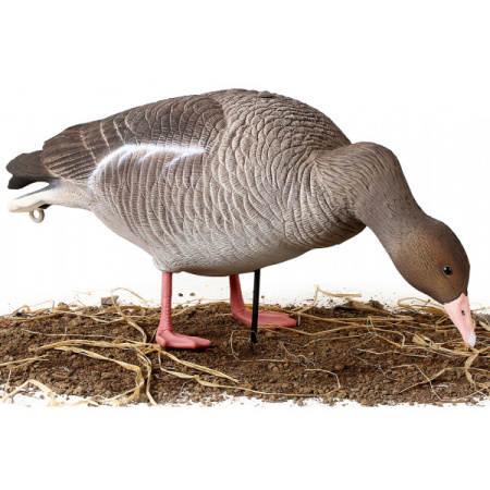 Чучела Серого гуся North Way Softplast Альфа, 6 штук (3 кормящихся,1 сторож,2 отдыхающих) купить в интернет-магазине ХантингАрт