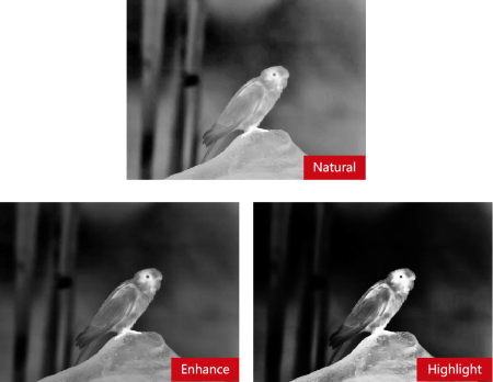 Тепловизионный бинокуляр Guide TN430 купить в интернет-магазине ХантингАрт