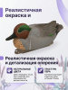 Чучело чирка (селезень), комплект 6 шт купить в магазине Хантингарт