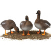 Комплект из 6 чучел гуся гуменника North Way Softplast Альфа (3 кормящихся,1 сторож,2 отдыхающих) купить в интернет-магазине ХантингАрт