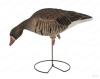 Комплект Greenhead Gear Pro-Grade FFD из 6 полнокорпусных муляжей Белолобого гуся (флок) купить в интернет-магазине ХантингАрт