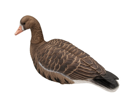 Белолобый гусь Avian-Mix Elite 3D, комплект 6шт купить в интернет-магазине ХантингАрт